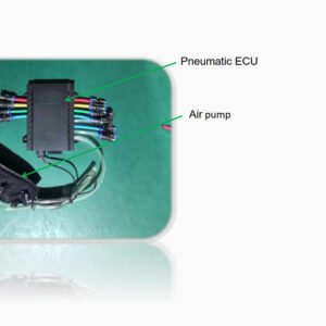 Pneumatic ECU& Air pump